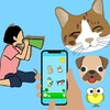 白云视频